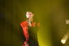 2023年6月30日「BOYS AND MEN NDP TV SUPER LIVE 〜なんかゴツくて憎めないヤツらのうた〜」